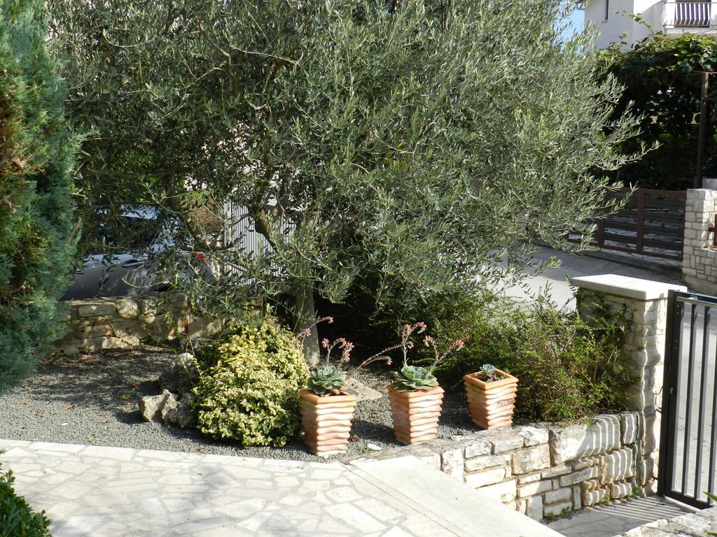 Apartment Lodra
